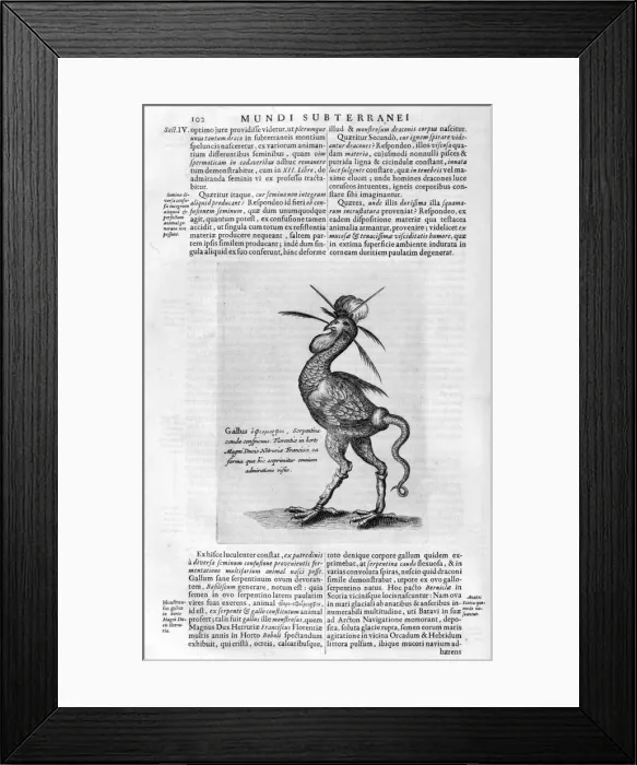 Framed Print : Mythical creatures, 1678. Artist: Athanasius Kircher Framed Print : Mythical creatures, 1678. Artist: Athanasius Kircher