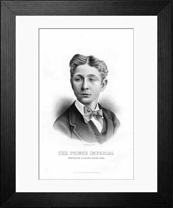 Framed Print : Napoleon Eugene, the Prince Imperial, late 19th century Framed Print : Napoleon Eugene, the Prince Imperial, late 19th century