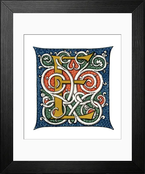 Framed Print : Initial letter E, (1843). Artist: Henry Shaw Framed Print : Initial letter E, (1843). Artist: Henry Shaw