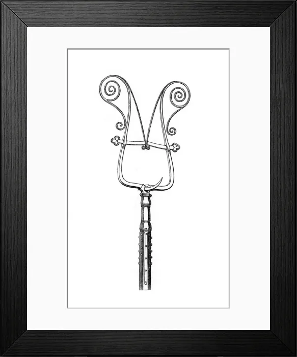Framed Print : Catch-pole, mid-16th century, (1843). Artist: Henry Shaw Framed Print : Catch-pole, mid-16th century, (1843). Artist: Henry Shaw