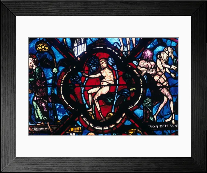 Framed Print : Adam in Eden, stained glass, Chartres Cathedral, France, 1205-1215 Framed Print : Adam in Eden, stained glass, Chartres Cathedral, France, 1205-1215