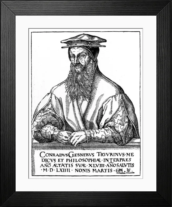 Framed Print : Conrad Gessner, Swiss naturalist, 1887 Framed Print : Conrad Gessner, Swiss naturalist, 1887