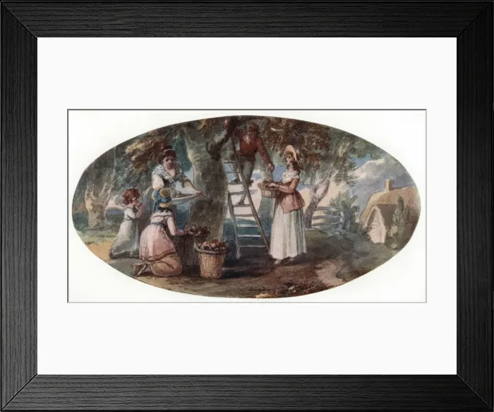 Framed Print : Gathering Fruit, late 18th century. Artist: William Hamilton Framed Print : Gathering Fruit, late 18th century. Artist: William Hamilton