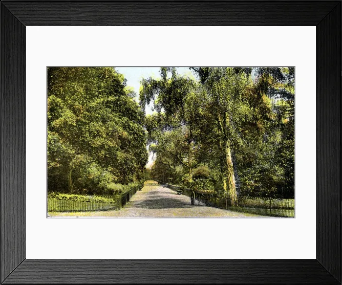 Framed Print : The Flower Walk, Kensington Gardens, London, 20th Century Framed Print : The Flower Walk, Kensington Gardens, London, 20th Century
