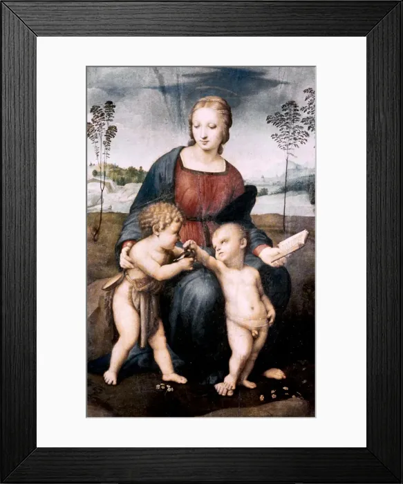 Framed Print : Madonna del Cardellino, 1507. Artist: Raphael Framed Print : Madonna del Cardellino, 1507. Artist: Raphael