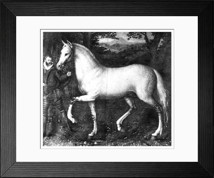 Framed Print : Queen Elizabeth Is horse, (1896) Framed Print : Queen Elizabeth Is horse, (1896)
