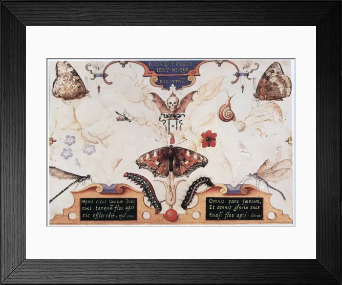Framed Print : Diptych with flowers and insects, 1591. Artist: Joris Hoefnagel Framed Print : Diptych with flowers and insects, 1591. Artist: Joris Hoefnagel