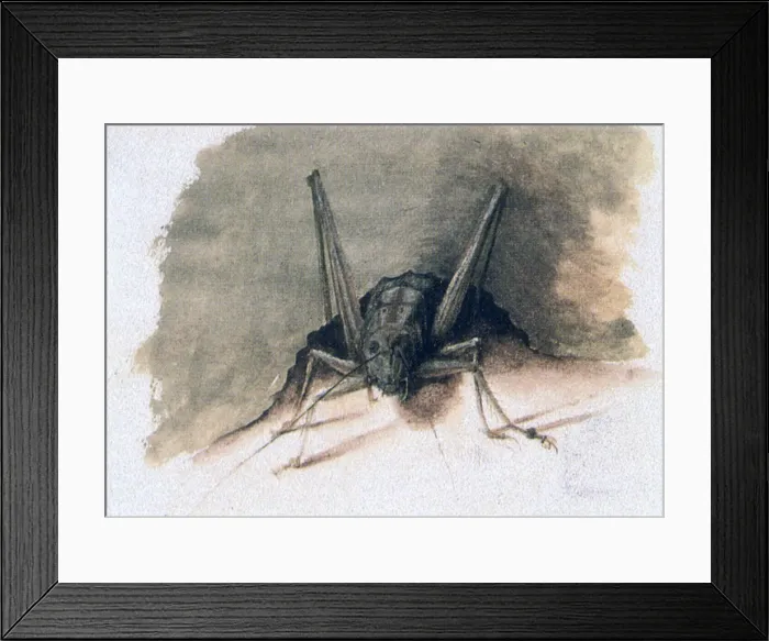 Framed Print : Green Grasshopper, 16th century. Artist: Joris Hoefnagel Framed Print : Green Grasshopper, 16th century. Artist: Joris Hoefnagel