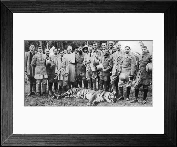 Framed Print : The Prince of Wales tiger shooting in Nepal, the Indian Tour, 1921 Framed Print : The Prince of Wales tiger shooting in Nepal, the Indian Tour, 1921