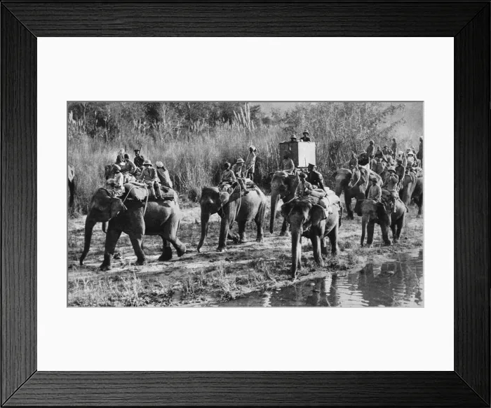 Framed Print : The Prince of Wales tiger shooting in India, 1921 Framed Print : The Prince of Wales tiger shooting in India, 1921