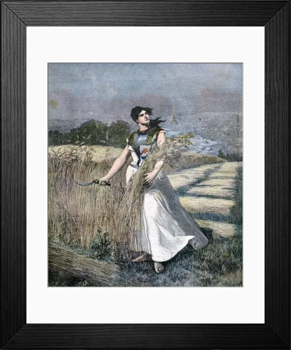 Framed Print : Allegory of France, 1891. Artist: Henri Meyer Framed Print : Allegory of France, 1891. Artist: Henri Meyer