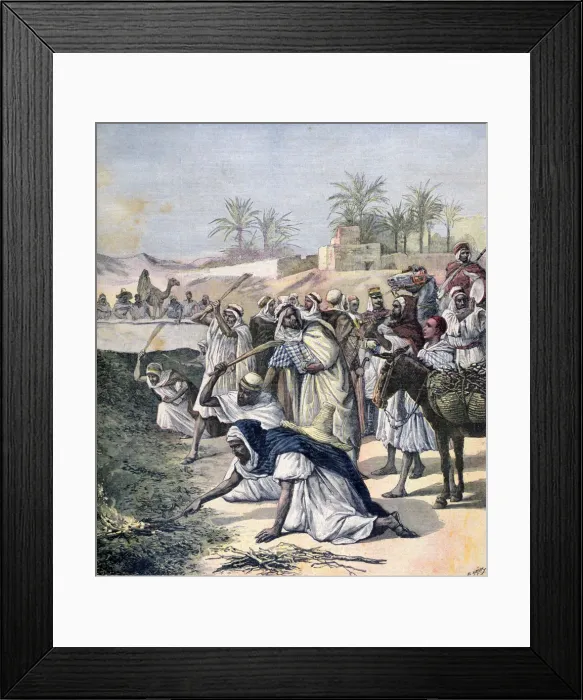 Framed Print : The locust plague, Algeria, 1891. Artist: Henri Meyer Framed Print : The locust plague, Algeria, 1891. Artist: Henri Meyer