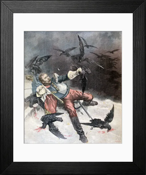 Framed Print : The Raven, 1890. Artist: F Meaulle Framed Print : The Raven, 1890. Artist: F Meaulle
