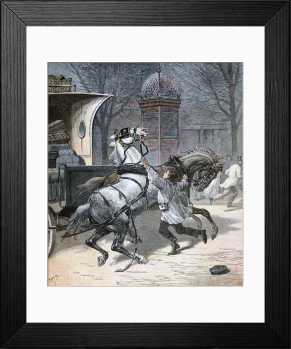 Framed Print : A young brave man, Paris, 1892. Artist: Henri Meyer Framed Print : A young brave man, Paris, 1892. Artist: Henri Meyer