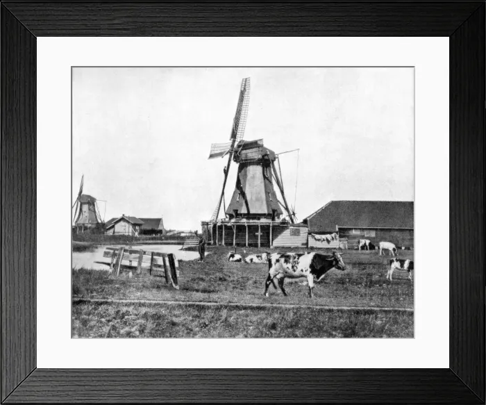 Framed Print : Dutch windmills, Holland, late 19th century. Artist: John L Stoddard Framed Print : Dutch windmills, Holland, late 19th century. Artist: John L Stoddard