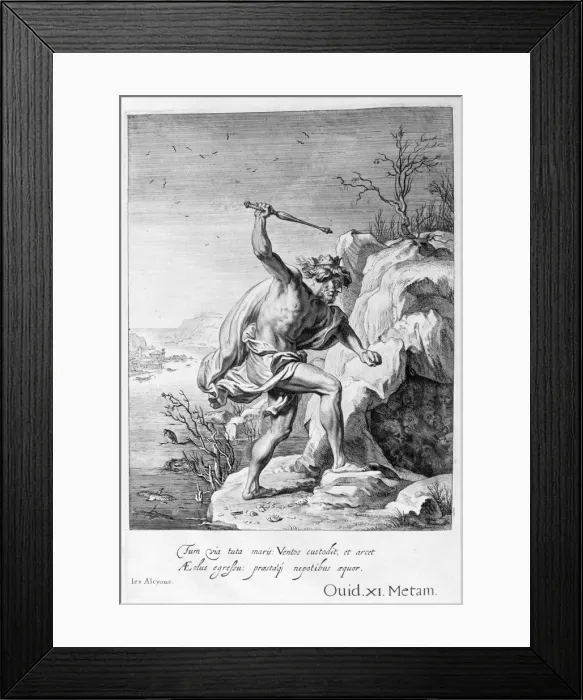 Framed Print : Alcyone and Ceyx transformed into birds, 1655. Artist: Michel de Marolles Framed Print : Alcyone and Ceyx transformed into birds, 1655. Artist: Michel de Marolles