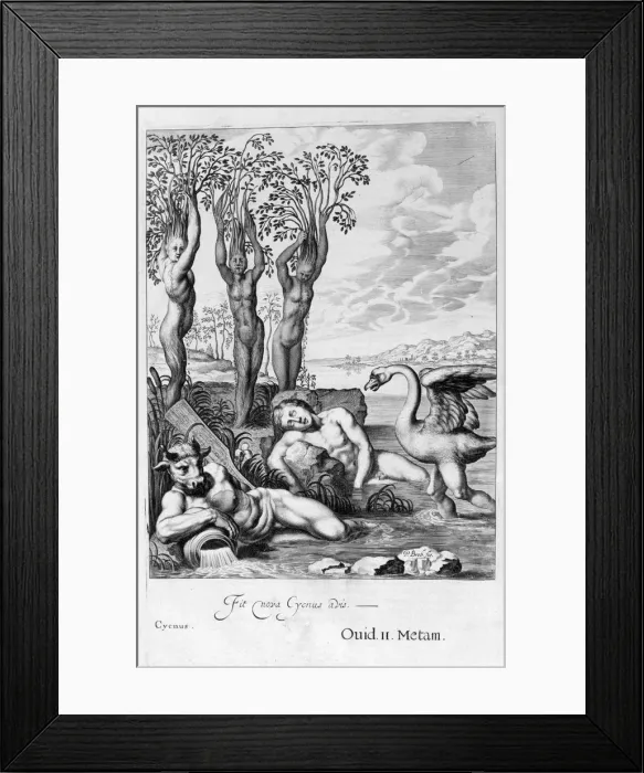 Framed Print : Cygnus transformed into a swan and Phaetons sisters into poplars, 1655. Artist: Michel de Marolles Framed Print : Cygnus transformed into a swan and Phaetons sisters into poplars, 1655. Artist: Michel de Marolles