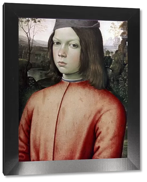 Portrait of a Boy, c1480-1485. Artist: Bernardino Pinturicchio