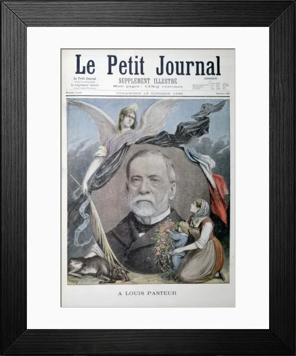 Framed Print : Louis Pasteur, French chemist, 1895 Framed Print : Louis Pasteur, French chemist, 1895