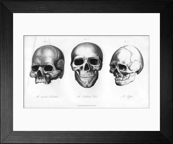 Framed Print : Ancient Cimbrian, Esthonian Finn, Lappe, 1848