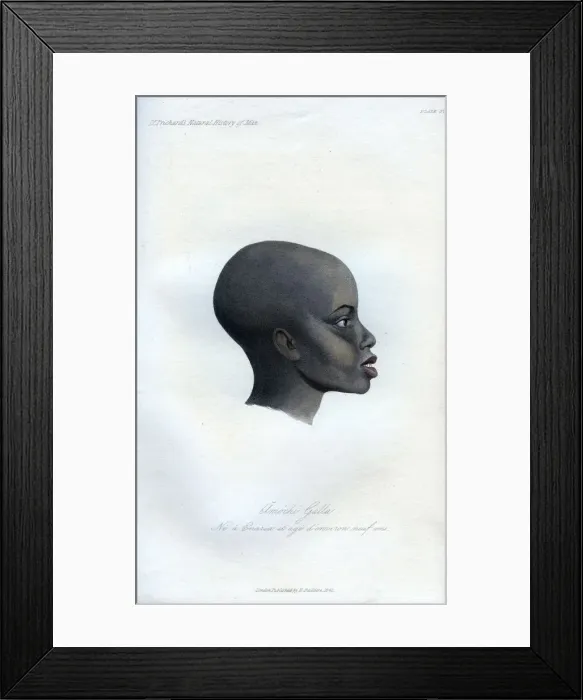 Framed Print : Amochi Galla, a portrait of a Galla, 1848 Framed Print : Amochi Galla, a portrait of a Galla, 1848