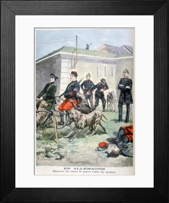 Framed Print : Training army dogs to attack cyclists, Germany, 1897. Artist: F Meaulle Framed Print : Training army dogs to attack cyclists, Germany, 1897. Artist: F Meaulle