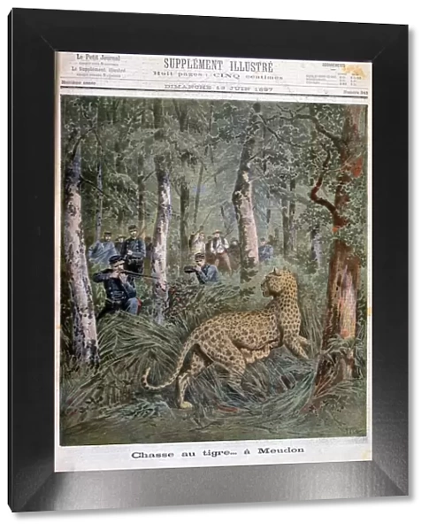 Hunting an excaped leopard, Meudon, Paris, 1897. Artist: Henri Meyer