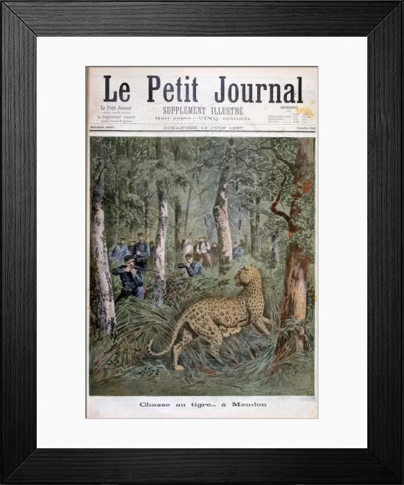 Framed Print : Hunting an excaped leopard, Meudon, Paris, 1897. Artist: Henri Meyer Framed Print : Hunting an excaped leopard, Meudon, Paris, 1897. Artist: Henri Meyer