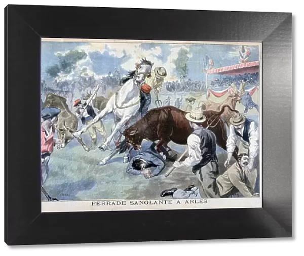 Bullfight incident, Arles, France, 1898. Artist: F Meaulle