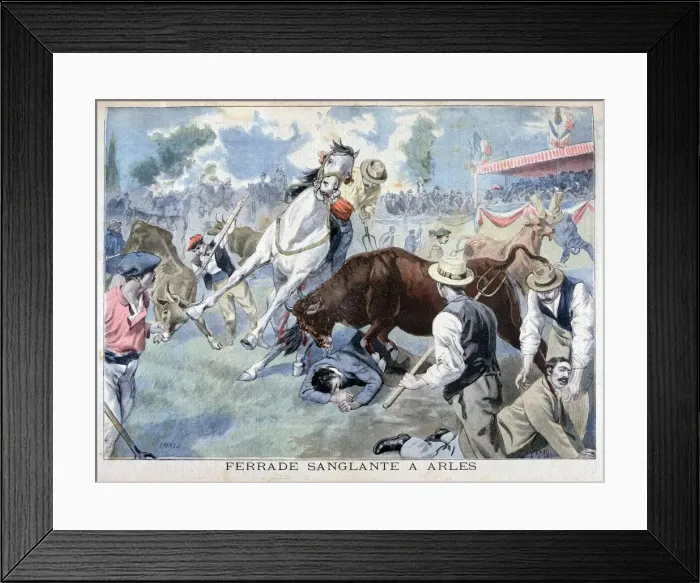 Framed Print : Bullfight incident, Arles, France, 1898. Artist: F Meaulle Framed Print : Bullfight incident, Arles, France, 1898. Artist: F Meaulle