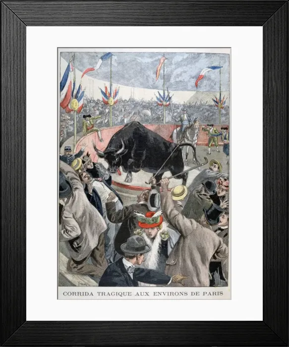 Framed Print : Tragic bullfight accident around Paris, 1899. Artist: Oswaldo Tofani Framed Print : Tragic bullfight accident around Paris, 1899. Artist: Oswaldo Tofani
