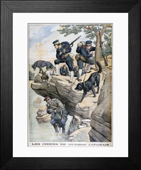 Framed Print : Japanese soldiers with dogs locate a Russian in hiding, Russo-Japanese War, 1904 Framed Print : Japanese soldiers with dogs locate a Russian in hiding, Russo-Japanese War, 1904