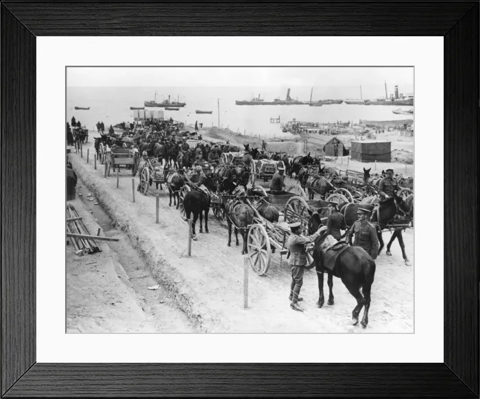 Framed Print : Horse drawn transportation, Allied operations in the Dardanelles, Turkey, 1915-1916 Framed Print : Horse drawn transportation, Allied operations in the Dardanelles, Turkey, 1915-1916