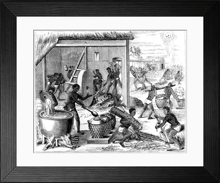 Framed Print : Sugar production, 1873 Framed Print : Sugar production, 1873
