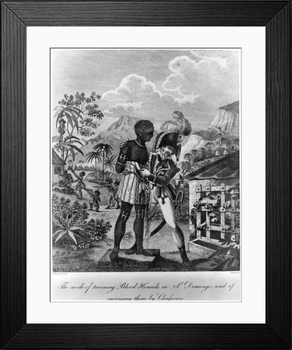 Framed Print : The Mode of training Blood Hounds in St Domingo and of exercising them by Chasseurs, 1805. Artist: John Barlow Framed Print : The Mode of training Blood Hounds in St Domingo and of exercising them by Chasseurs, 1805. Artist: John Barlow