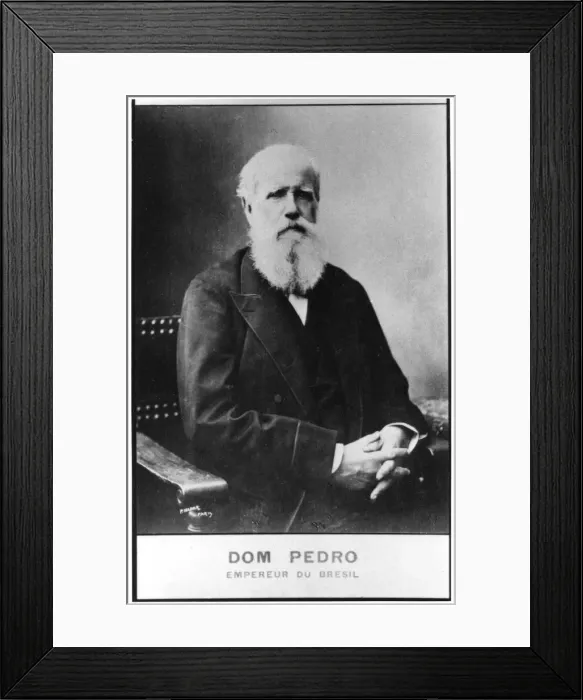 Framed Print : Dom Pedro, Emperor of Brazil, late 19th century Framed Print : Dom Pedro, Emperor of Brazil, late 19th century