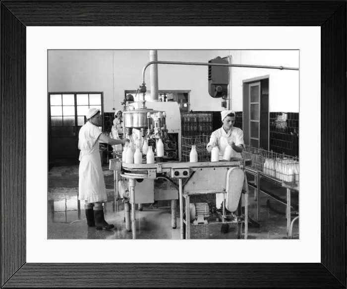 Framed Print : Milk production, Zagreb, Yugoslavia, 1952 Framed Print : Milk production, Zagreb, Yugoslavia, 1952