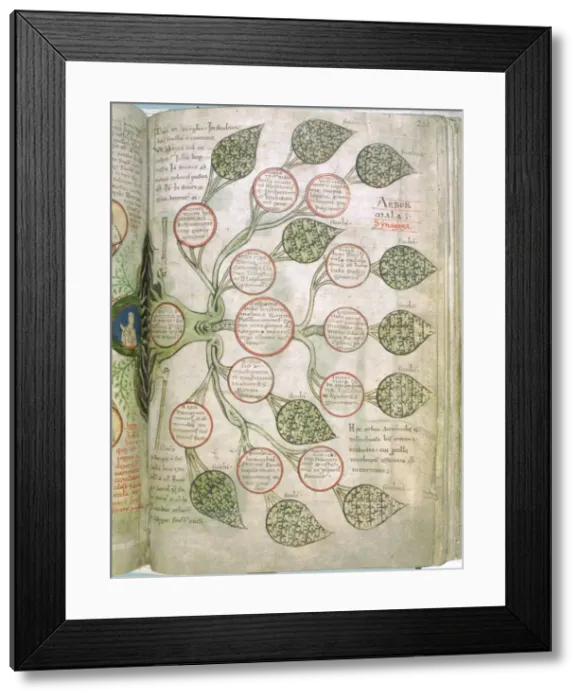 Framed Print : A page from Liber Floridus, 12th century Framed Print : A page from Liber Floridus, 12th century