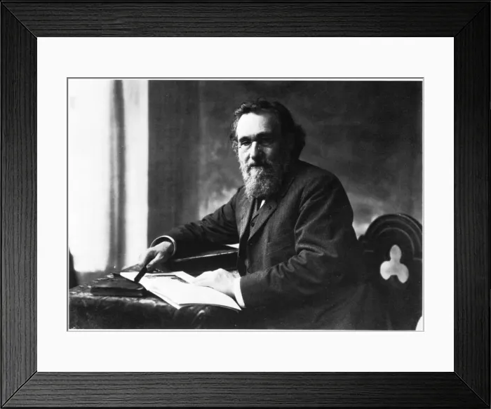 Framed Print : Ilya Ilyich Mechnikov, Russian microbiologist, c1900s(?). Artist: Nadar