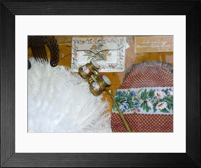Framed Print : Theatre paraphernalia and apparel, 19th century Framed Print : Theatre paraphernalia and apparel, 19th century
