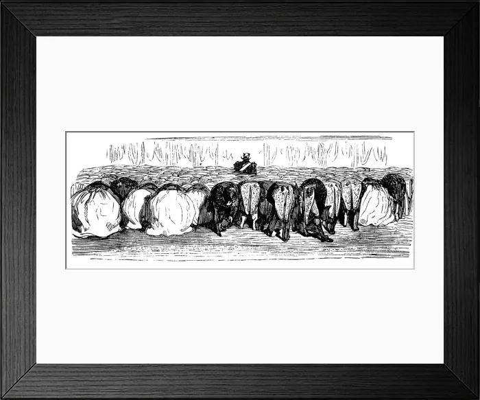 Framed Print : History of Holy Russia. A great ball in the Winter Palace, 1854. Artist: Gustave Dore Framed Print : History of Holy Russia. A great ball in the Winter Palace, 1854. Artist: Gustave Dore