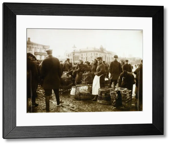 Framed Print : Bird market, Trubnaya Square, Moscow, Russia, 1908 Framed Print : Bird market, Trubnaya Square, Moscow, Russia, 1908