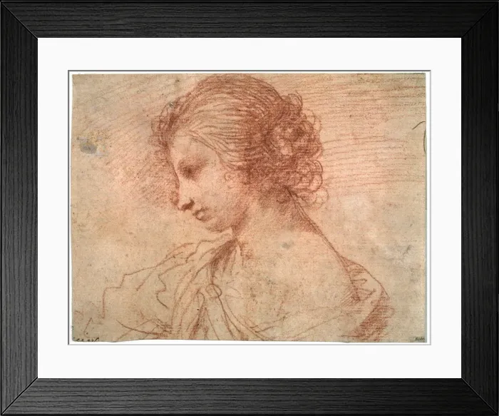 Framed Print : Breast portrait of a young female, 17th century. Artist: Guercino Framed Print : Breast portrait of a young female, 17th century. Artist: Guercino