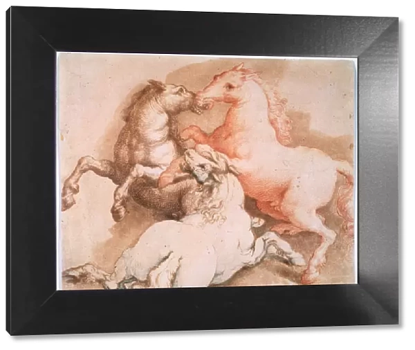 Fighting Horses, c1550-1600. Old Master