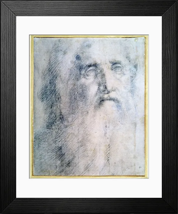 Framed Print : Study of an old Mans head with a beard, c1535. Artist: Domenico Beccafumi Framed Print : Study of an old Mans head with a beard, c1535. Artist: Domenico Beccafumi