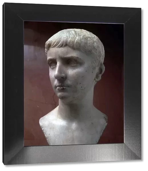 Marble portrait bust of Gaius Julius Caesar, 1st half of 1st century