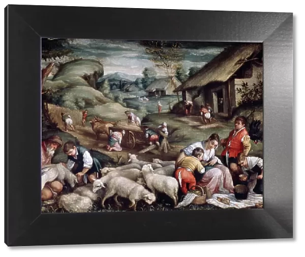Summer. Sheep Shearing, c1570-c1580. Artist: Francesco Bassano II