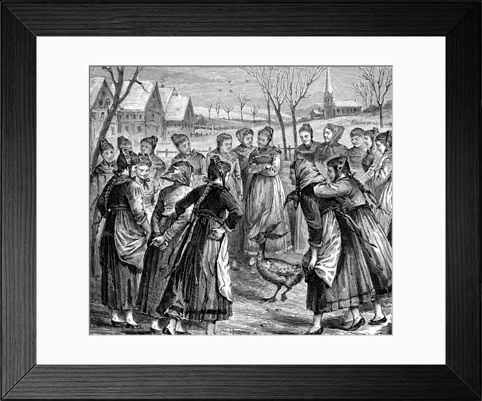 Framed Print : Goose oracle in the Black Forest