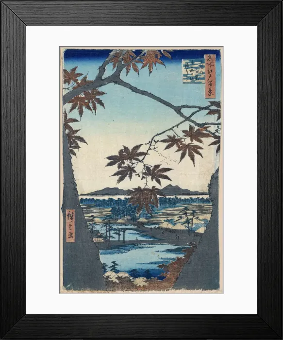 Framed Print : 2585592 Framed Print : 2585592