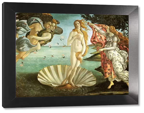 The Birth of Venus, c1482-1486